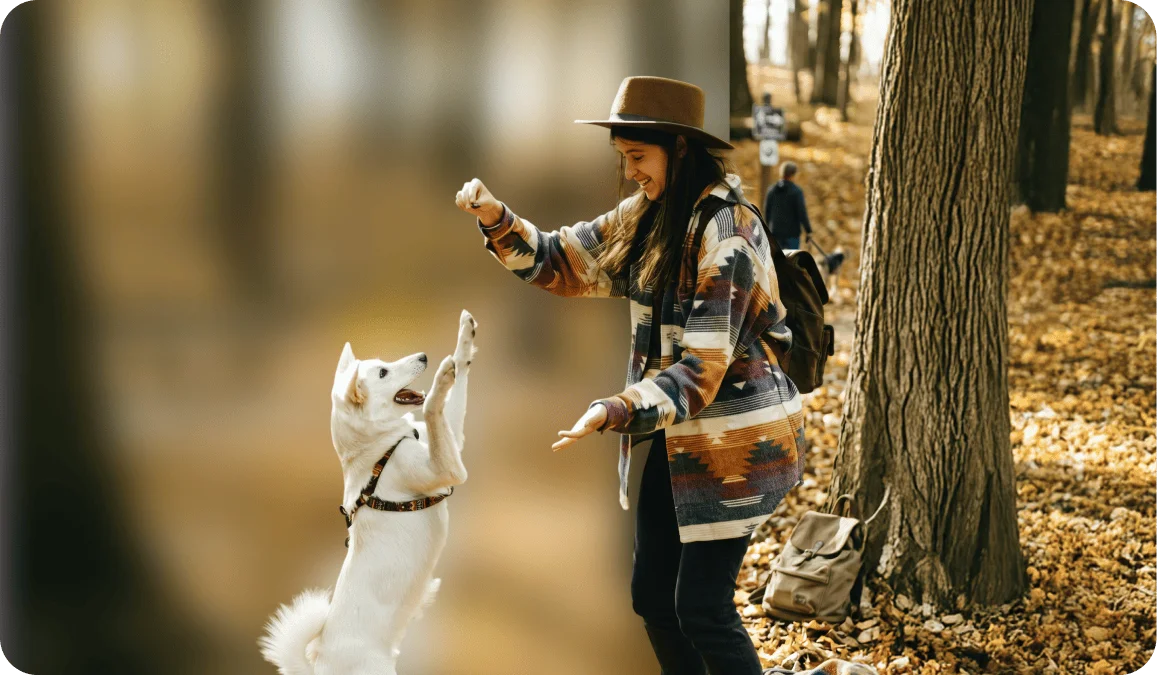 Woman in a wide-brim hat playing with a white Husky dog in an autumn forest